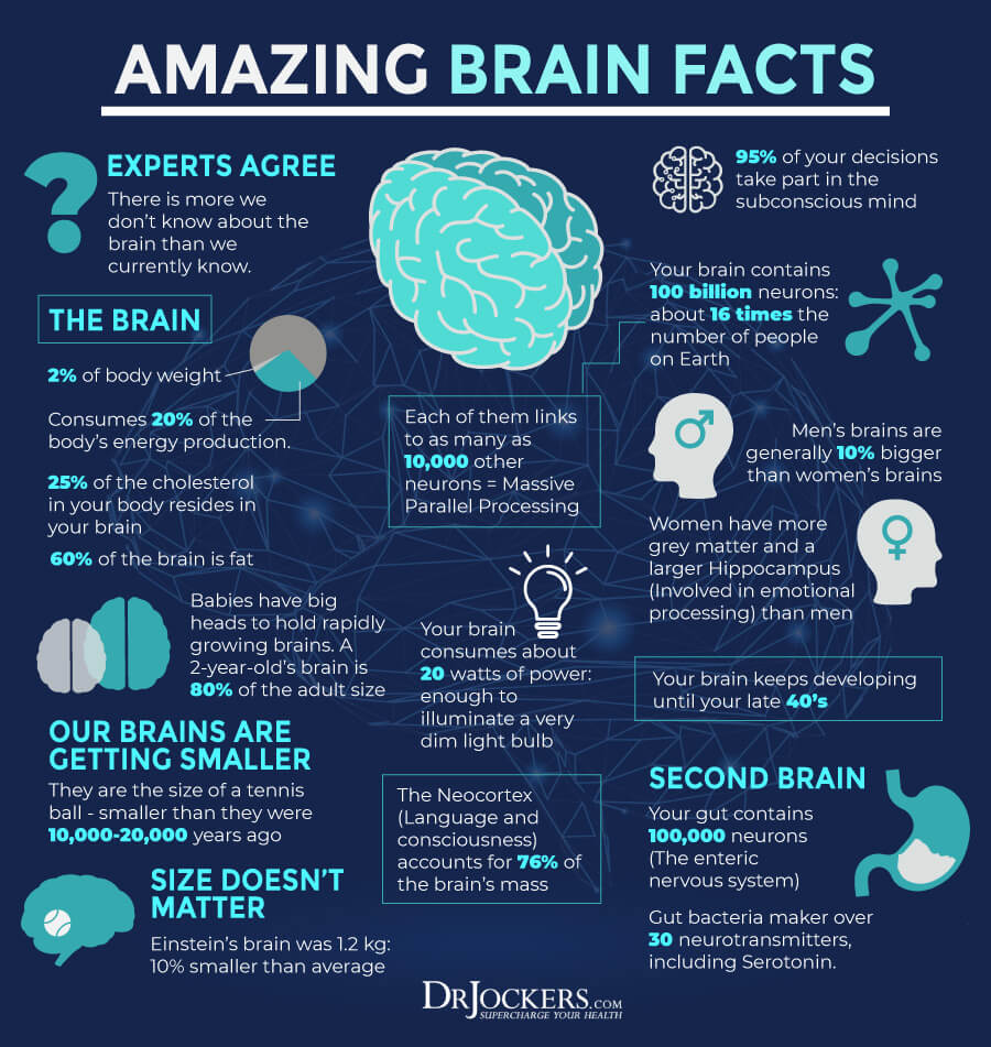 超级大脑瑜伽，用超级大脑瑜伽来改善你的大脑