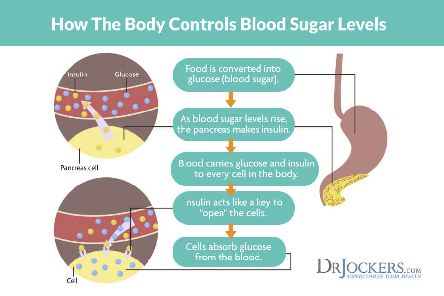 健康的血糖，7种支持健康血糖水平的草药